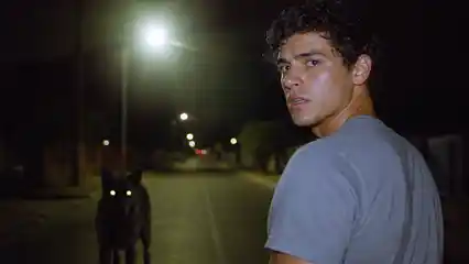 The Black Dog
