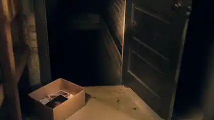 The Basement